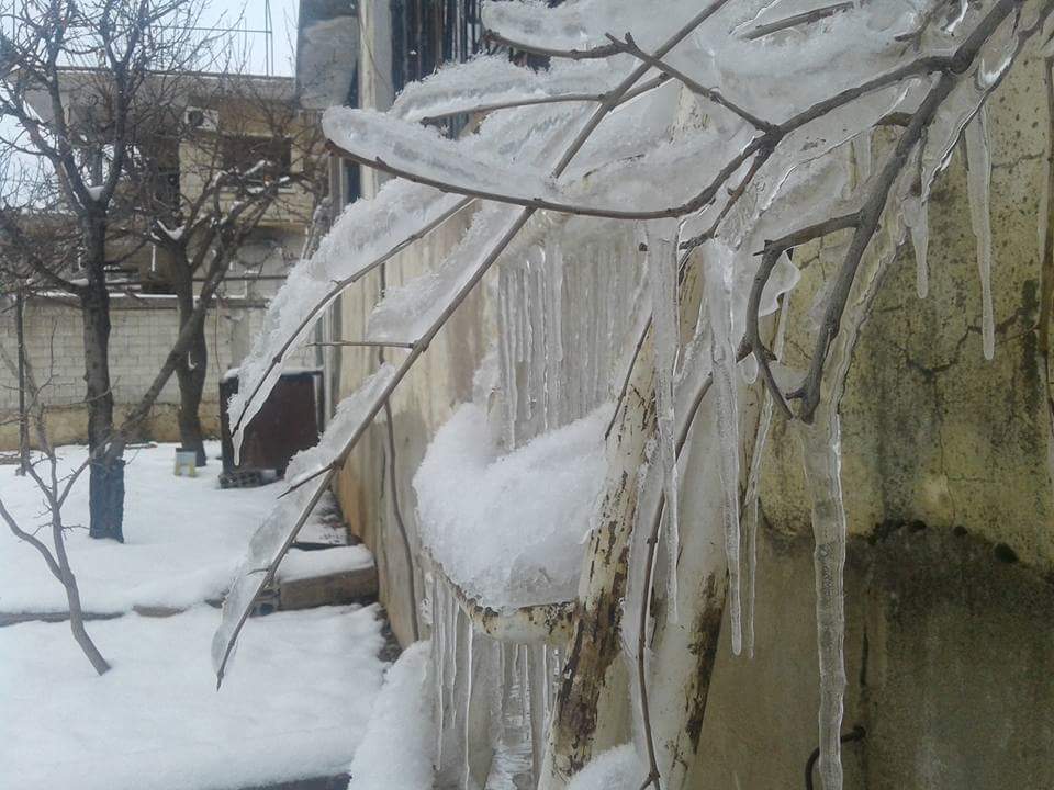 Raed Bourhan tweet media