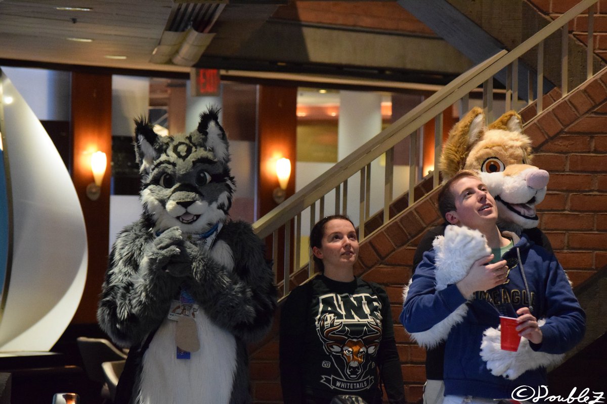 Vernalthedynx's tweet photo. Prolly my favorite picture of @NexusFolf that they didn't know I got of them starring off into space #ane2016 https://t.co/RxWRDLvFcj
