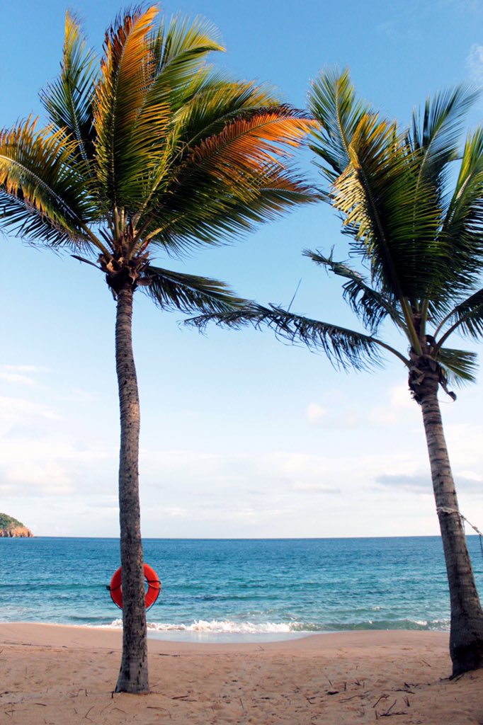 AnnieBecky's tweet photo. Good Morning From Antigua and Barbuda https://t.co/OR95y7ul2P