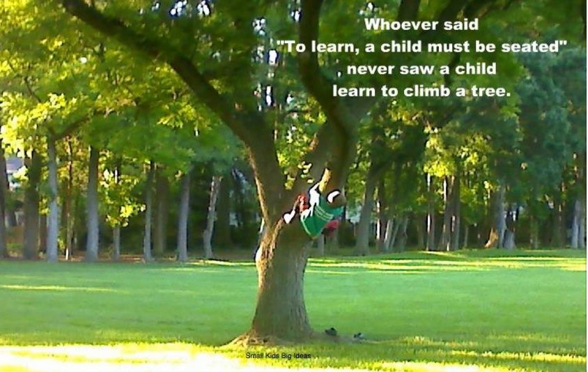GetOutKids's tweet image. RT @beawilderchild:Whoever said "To learn a child must be seated", never saw a child learn to climb..via @supportscn