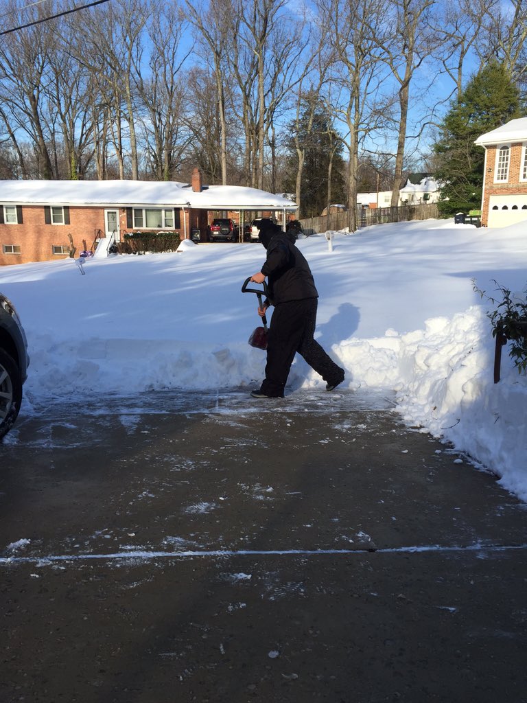 maryrdrg's tweet photo. #fox5digout  Homebound Day 5 and my kitten just went into heat...MEOW https://t.co/fEwSOiRZ6z