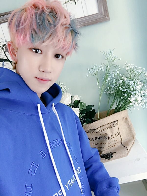 pledis_17 tweet picture