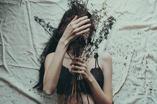 ꒰ หวายมีแมวชื่อแบบี๋ ·˚ ༘ tweet media