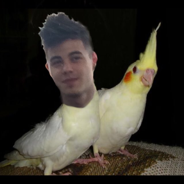 _fecamargo tweet picture
