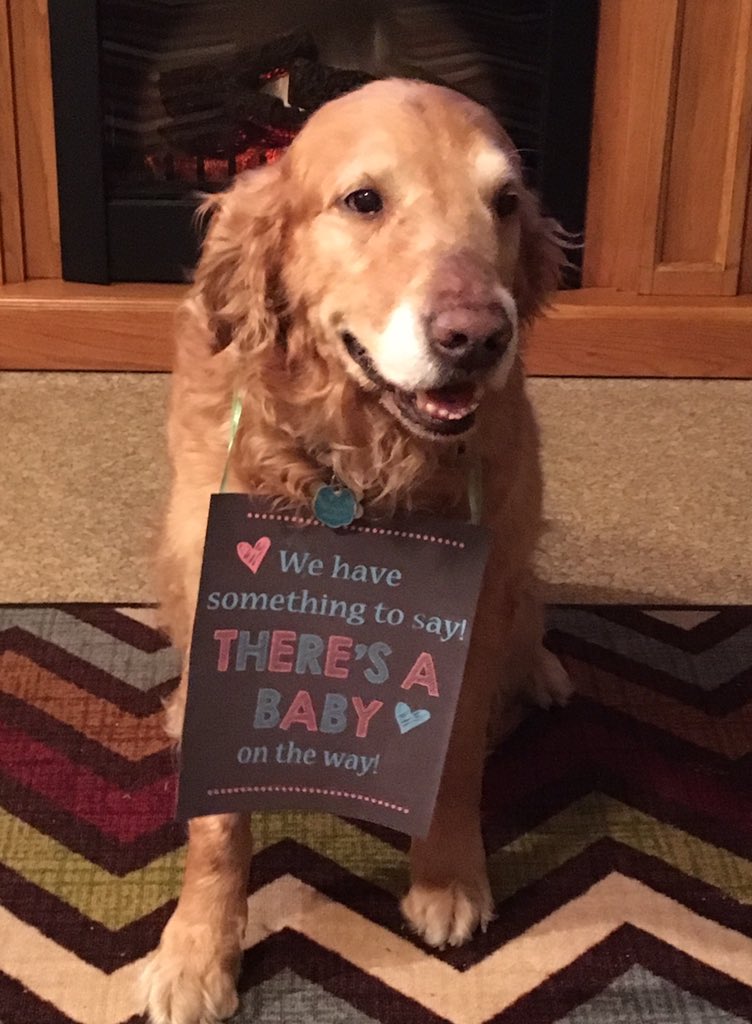 Briggs has something to say......