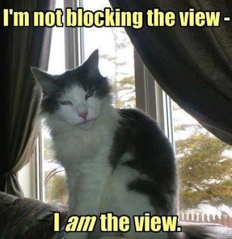 nutnaive's tweet image. 