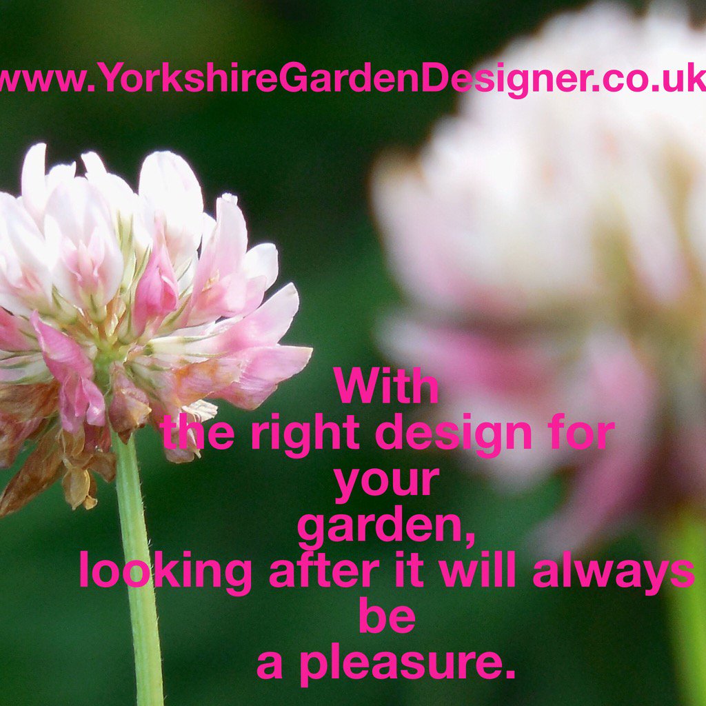 gardenpowertoo1's tweet photo. RT https://t.co/otGdkK6rcz #gardening #radio4 #gardendesign #garden #ygdesigner https://t.co/R2krx4bY6m