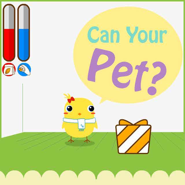 Can your pet 2. Can your Pet Classic игра. Can your Pet. Can your Pet играть.