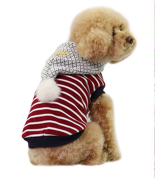 pawscouture's tweet photo. Super cute range of designer dog onesies @pawscouture https://t.co/Aw1uMX1Mh8 #biz4dogs #pawscouture https://t.co/6eZWhtFrHa