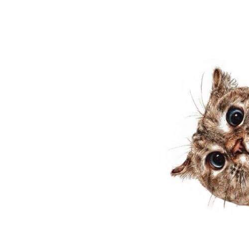 ward_fire's tweet image. Do not use CO2 fire extinguishers, when there is NO NEED please