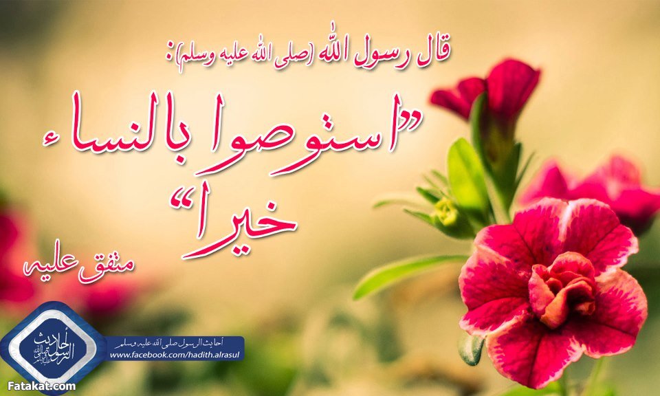HibaNono2011's tweet photo. رفقا بالقوارير<3
انت غالية عند الله وعند رسوله لذلك ابتسمي لأنهم لا يحبون أن يرونكي حزينة :) https://t.co/XinMOd2L6m
