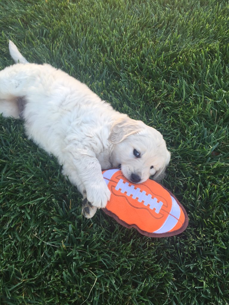 lou_stroud's tweet photo. In honor of Calvin turning into a giant, here's some happy Tuesday baby pictures of him https://t.co/8PAU4Hdskh