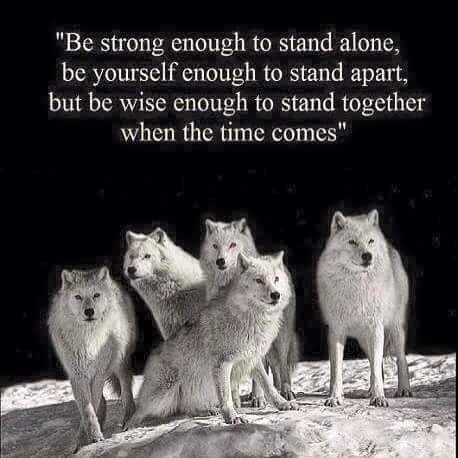 LabacchusIII's tweet photo. True indeed... #redcupknowledge  #rt #goodadvice  #packlife https://t.co/nq3KhvNBxv