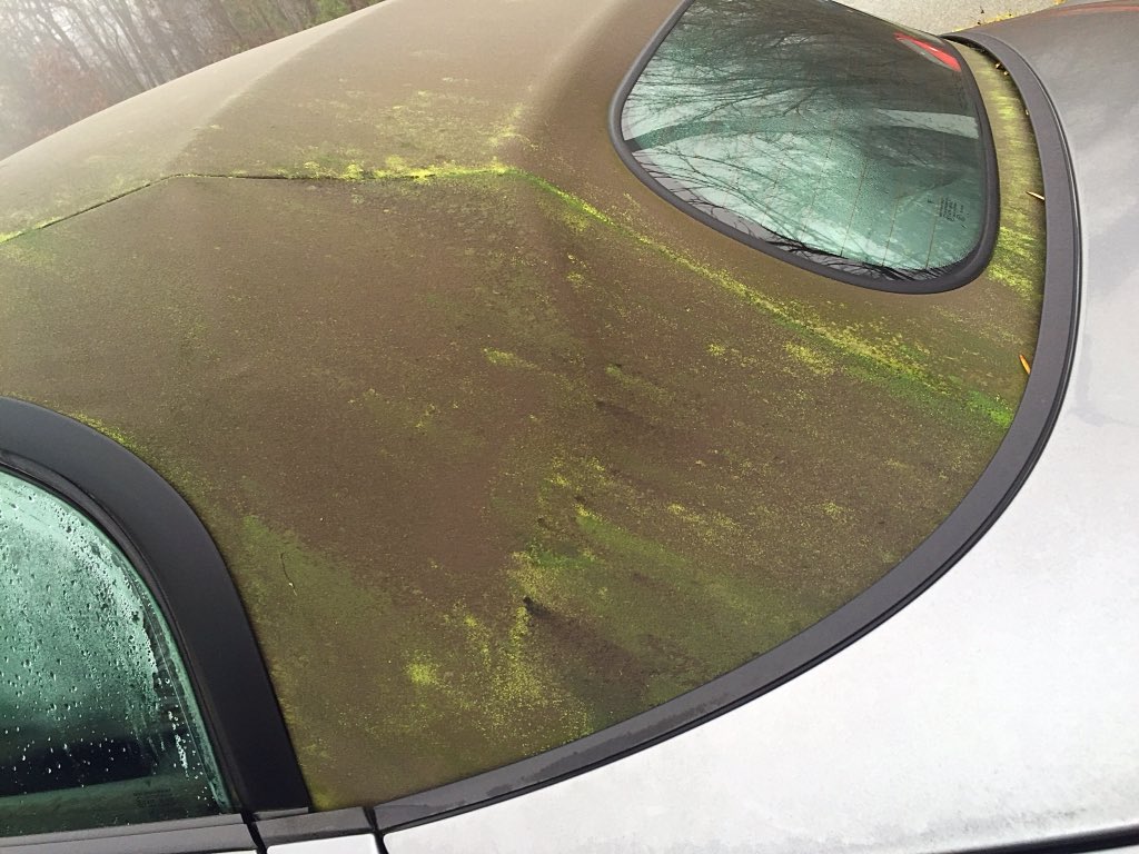 Oh, don't let this happen to your cloth top. We have a service for $99.95 that cleans and protects. #myFCI