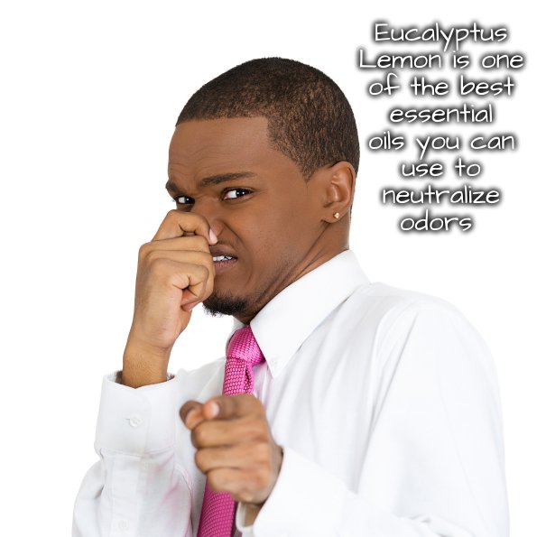 The Benefits of Eucalyptus Oil #aromatherapy - Like this post? Join our new group: mf.tt/AiI1U