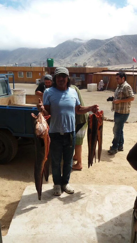 #Feliz día pescadoras y pescadores de #Atacama. Por la #pescasostenible  el #consumoresponsable.