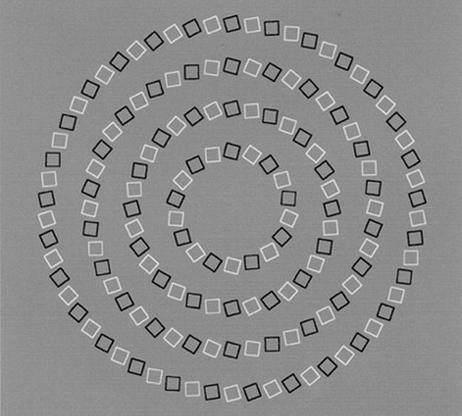 MyriamDurante's tweet image. Boa Tarde! Vamos exercitar a nossa mente?
&apos;São círculos perfeitos. Correto?&apos;
#ExercitandoAMente #ComMyriamDurante