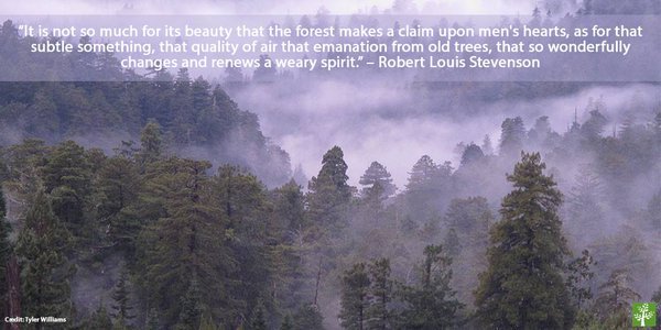 New Leaf Technology tweet media