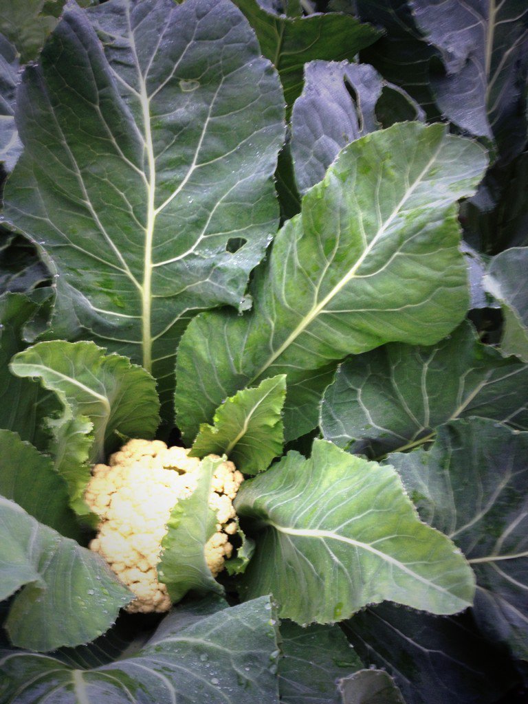 Malcolm McClain tweet media