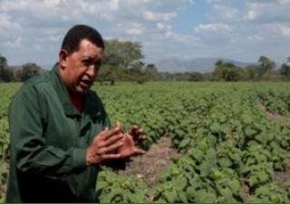 DichosdeChavez's tweet photo. "Quiero que le den énfasis, hay que aprovechar la agricultura urbana"”  12/03/2012 @lorenafreitez https://t.co/isGIqboKb1