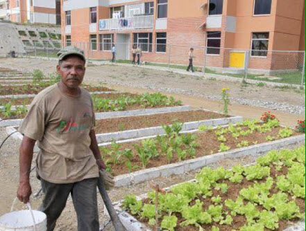 DichosdeChavez's tweet photo. "Quiero que le den énfasis, hay que aprovechar la agricultura urbana"”  12/03/2012 @lorenafreitez https://t.co/isGIqboKb1