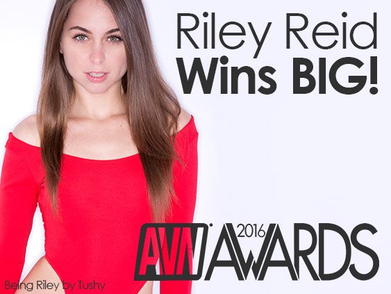 Tw Pornstars Riley Reid Twitter Rt Adultempire Riley Reid Wins 