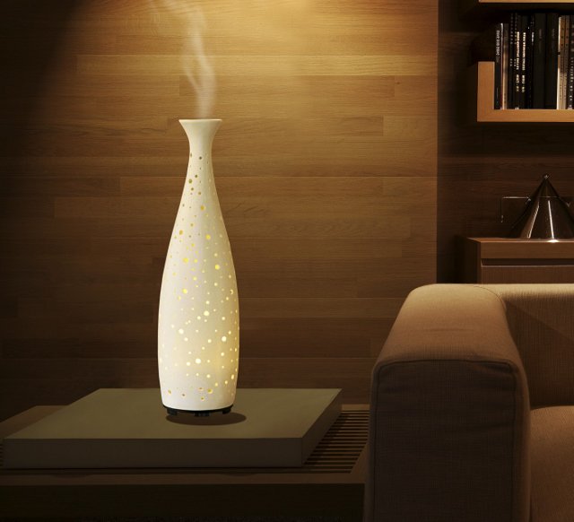 Need a gift for VALENTINES DAY?  Treat yourself or a friend w/ a White Orchid Diffuser......mf.tt/2Ihxd