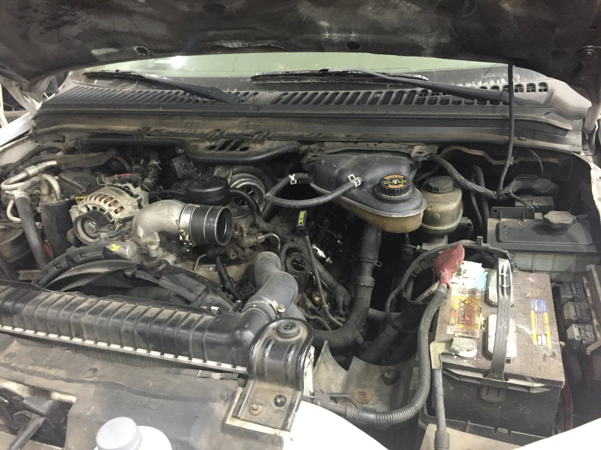 DCSDoug's tweet image. Getting started on this clean loaded 03 Exc EB w/ the 6.0 blues.  What  should use?  Commonrail or 12v?