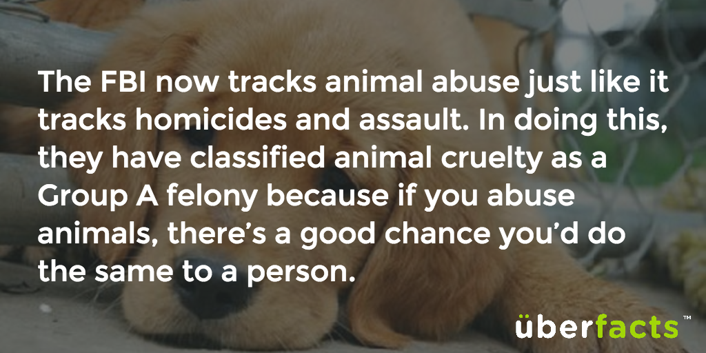 MichelleFevola8's tweet photo. @ben_bruzz RT @UberFacts: Good. https://t.co/ITePUTKEbp