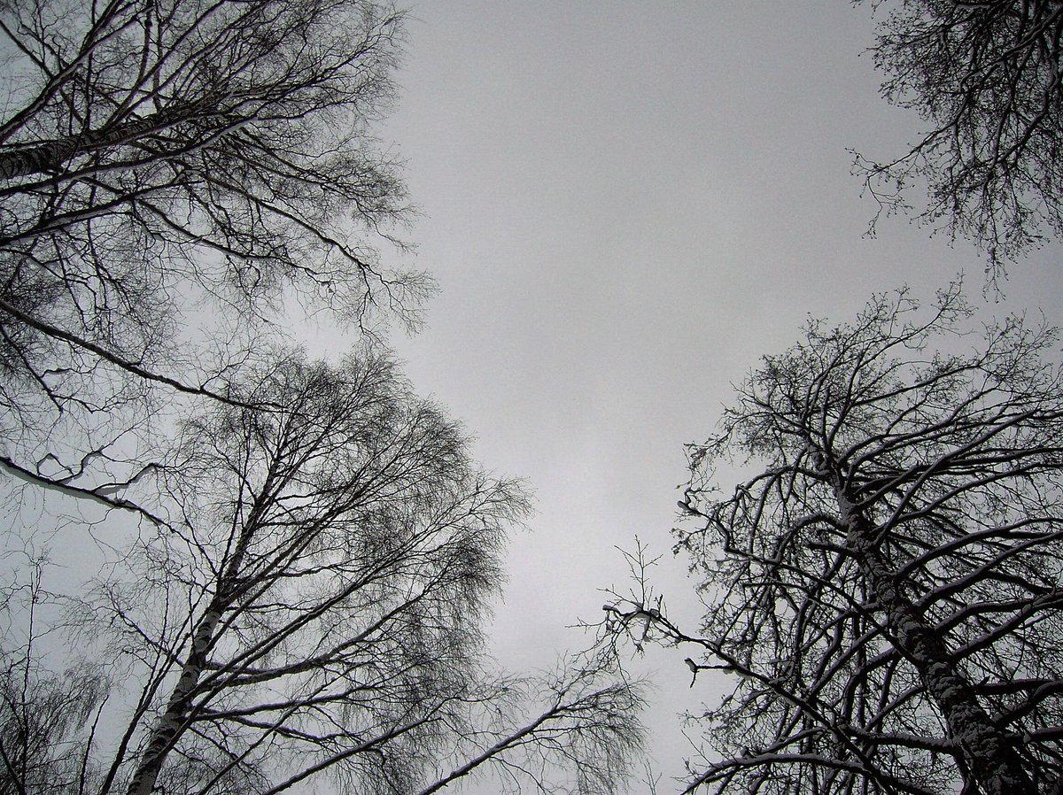 IlonaKiss2's tweet photo. Hyvää yötä twitter : ) Good night twitter : ) "The Truth is Out There" #TheXFilesTonight : ) https://t.co/qPRPdQOHUl