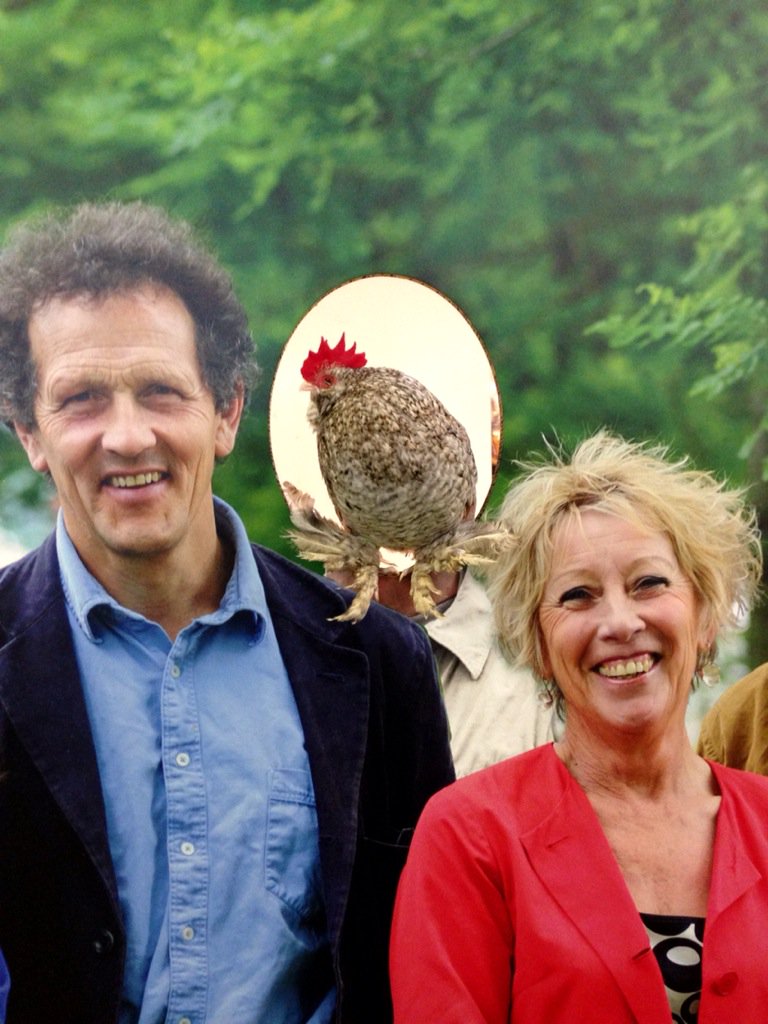 DrChicken's tweet image. Poultry peeps, duck dudes, quail queens... Don't forget #ChickenHour tonight 8-9pm GMT 🐔