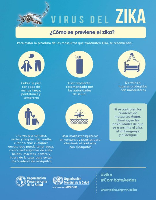 pnud's tweet photo. TODO lo que tienes que saber para prevenir el #Zika: https://t.co/rhWRzX1fQV v @opsoms https://t.co/2uvqllQaJC