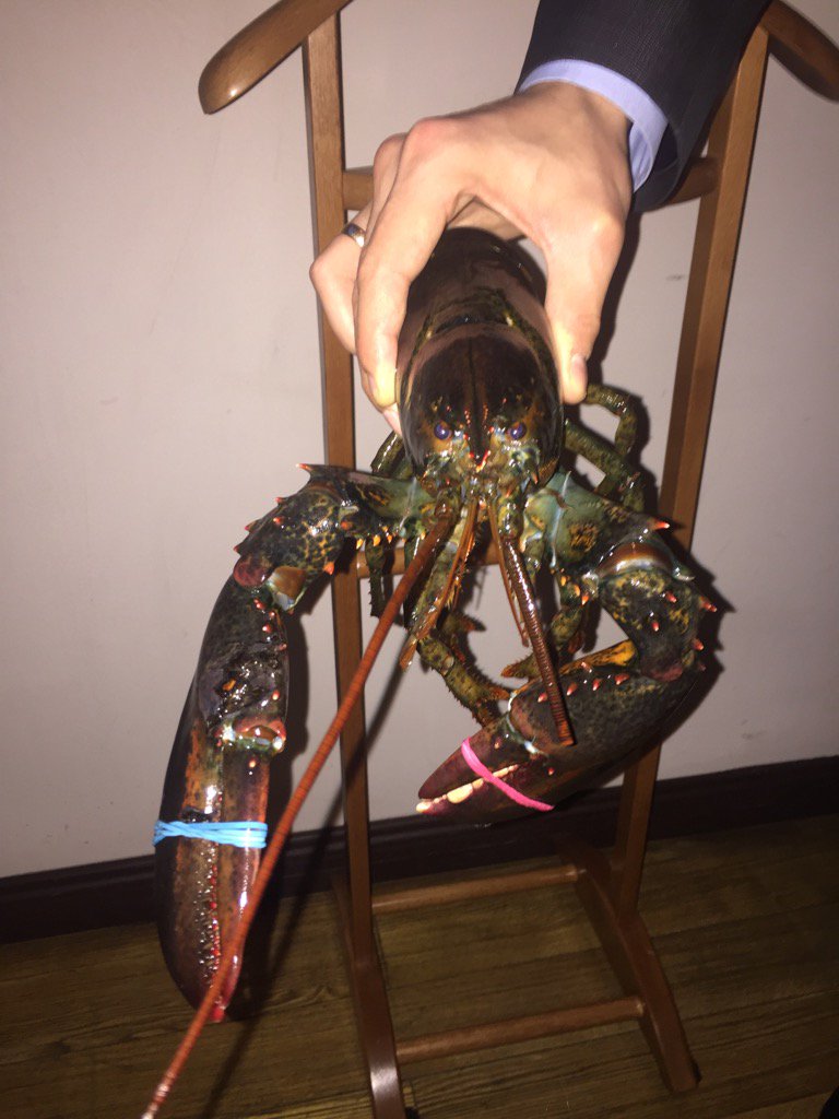 Ну привет 🤗сейчас я тебя съем 😋😋😋