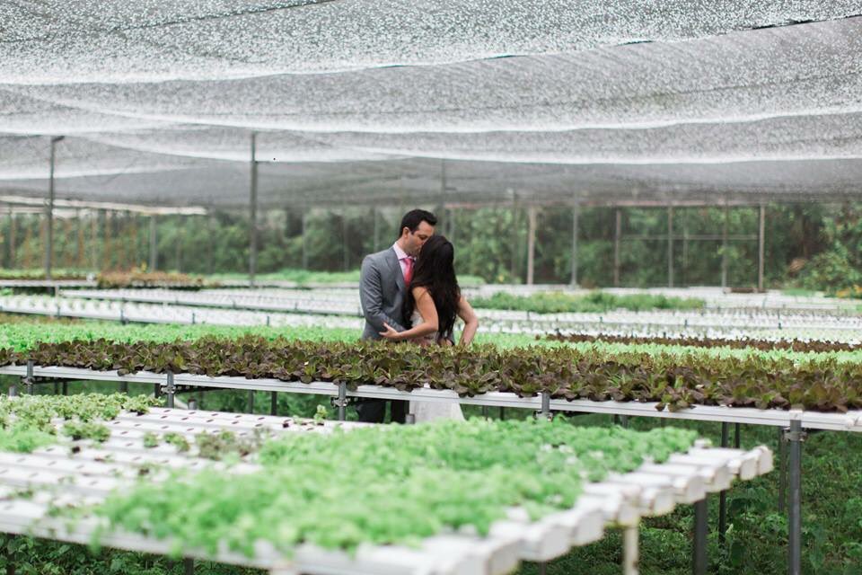 SwankTableFL's tweet image. Go for the green! Our #hydroponic greenhouse is the most gorgeous backdrop. 🌱