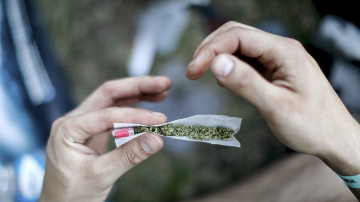 México inicia histórico debate sobre uso de la marihuana medicinal » bit.ly/1QqmJiq