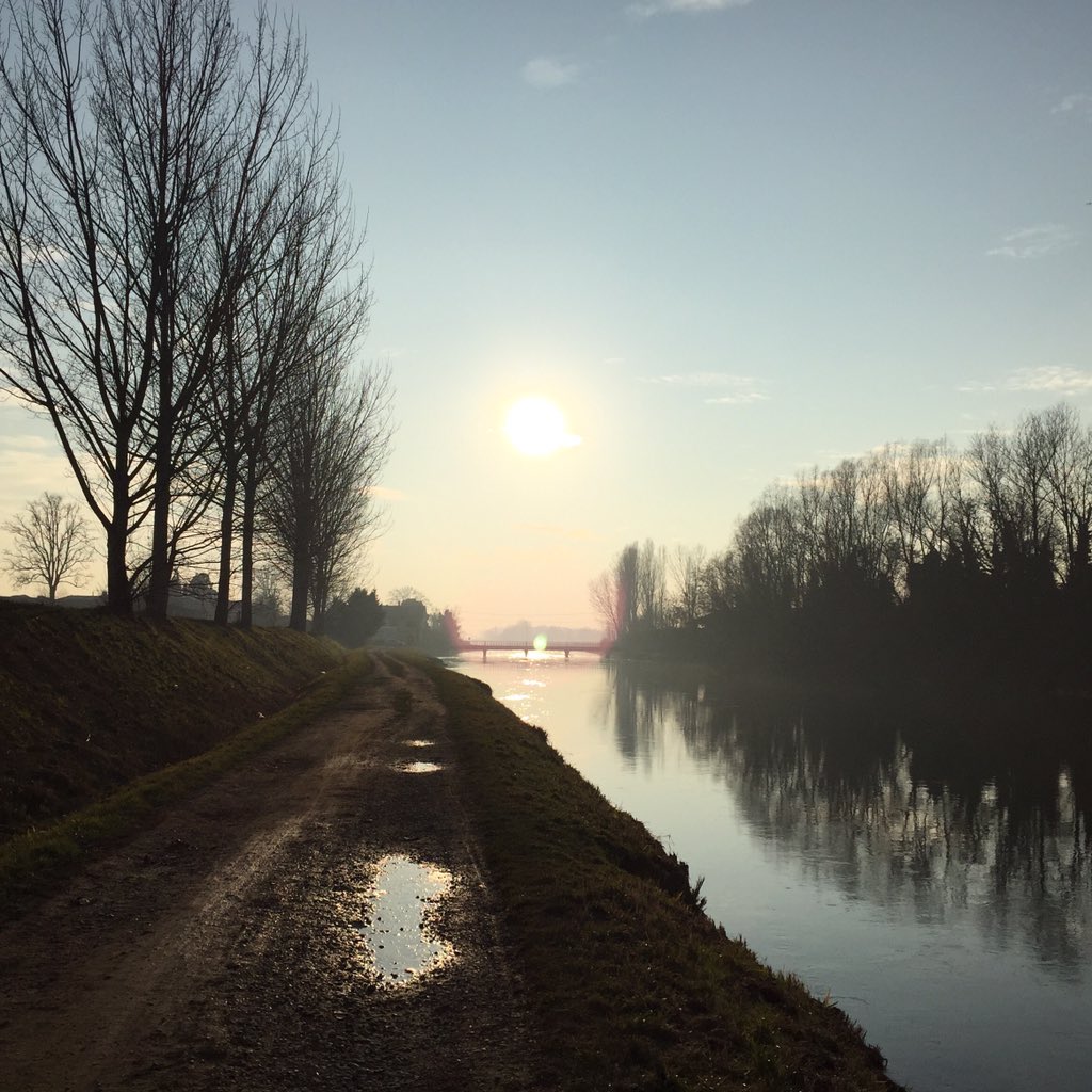 silviarefaldi's tweet photo. Last sunday #walking in the #nature #landscape #parcoadda #canalemuzza #wildlife #silence #relax #igerslombardia https://t.co/lTL80GSe1c