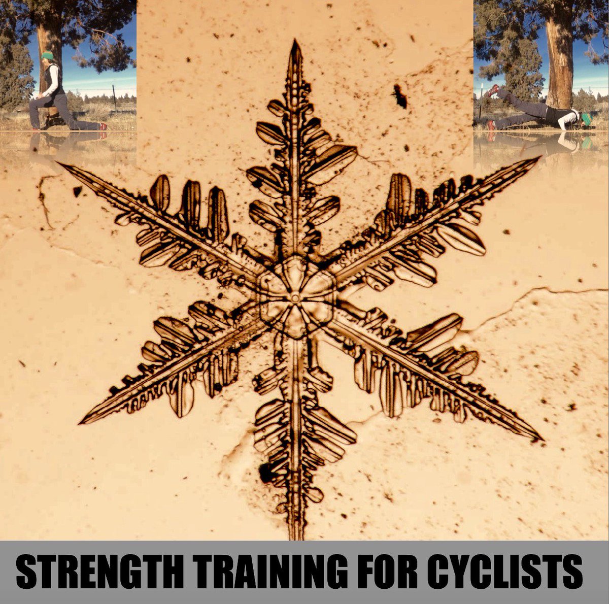 Cyclist are like Snowflakes, hit up these 5 Strength exercises to keep yourself from melting wp.me/p5ZGvn-LX