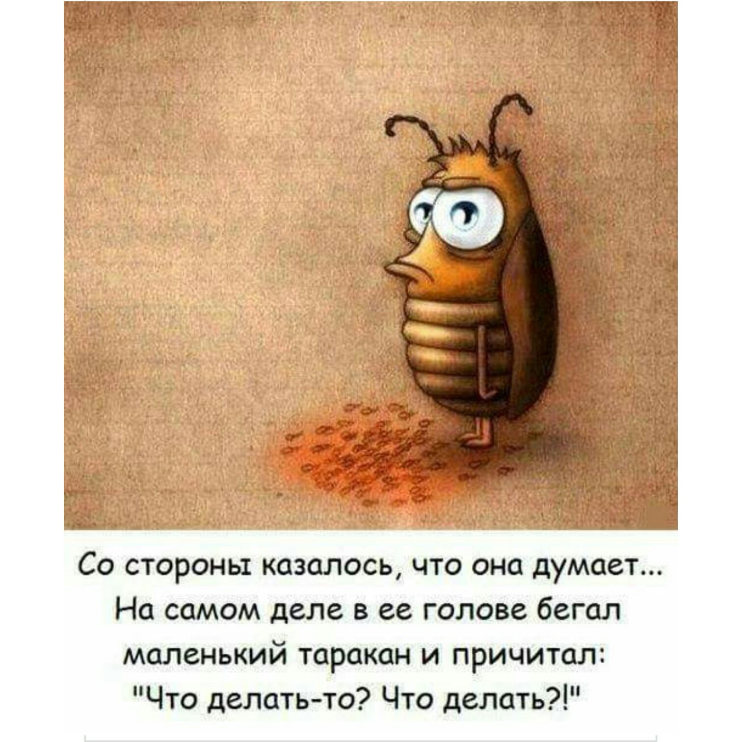Приколы про тараканов