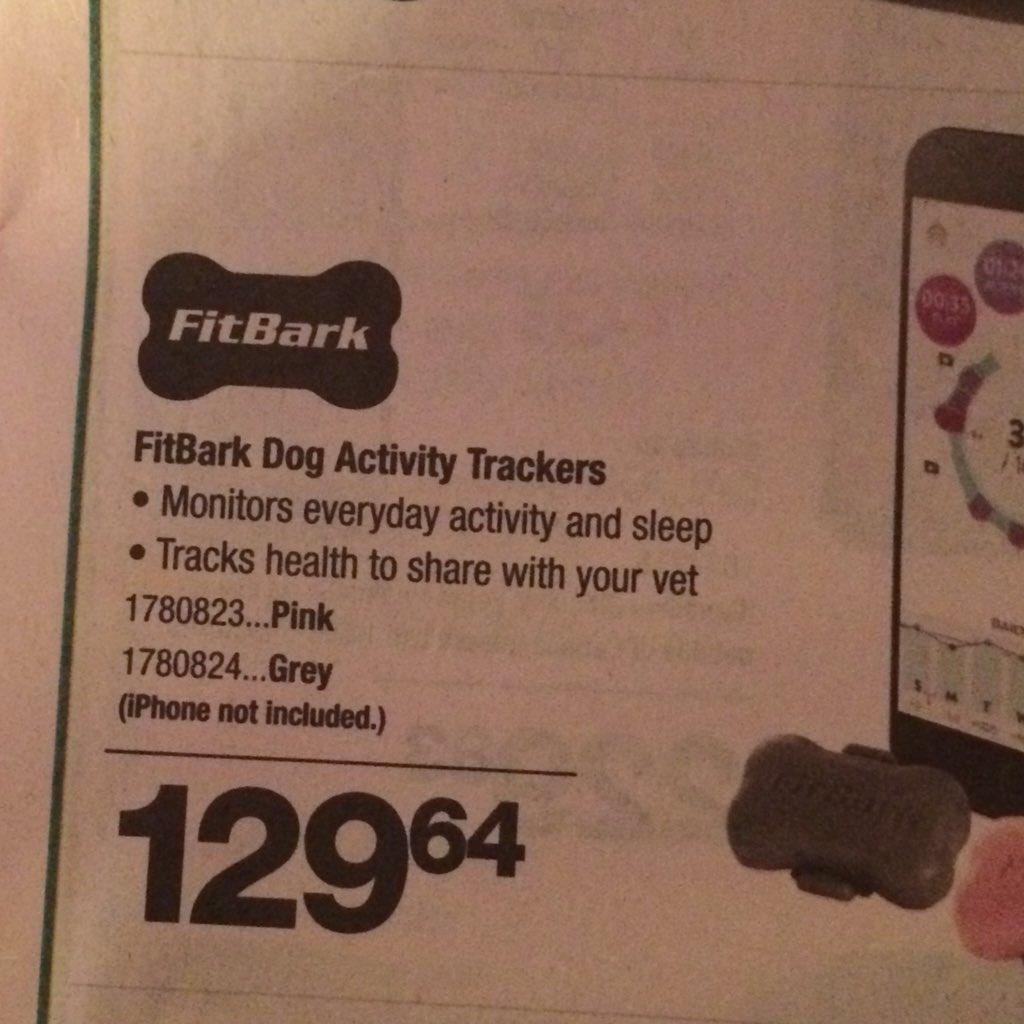 Amandaandlola's tweet photo. @FitBark you can get a @fitbit for your dog this #vlogger would love to review that #dogmom #fitbitlover https://t.co/C2U23uuhMB