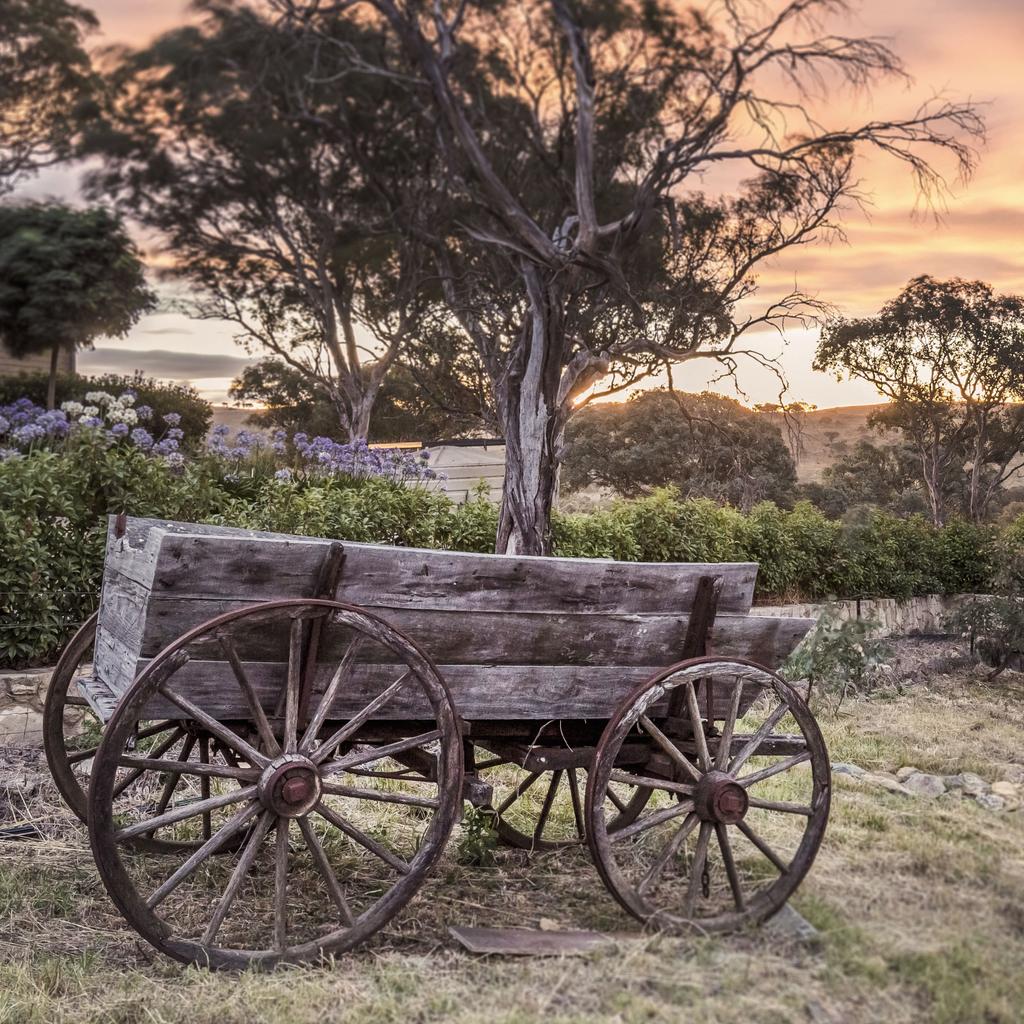 Live the Googonian life. Experience more of 41 Shillington Avenue, Googong.
#picoftheweek #googonglife #sunset