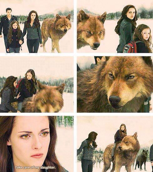 Hey it's me Nessie sorry I've been at school and really busy but I'm back now ❤️❤️❄️