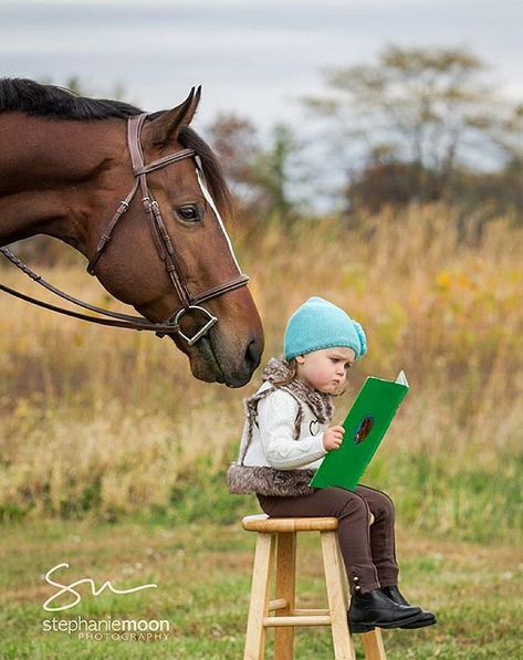 DolmazziEstates's tweet photo. We wonder what is so interesting in that book? Photo by #StephanieMoon https://t.co/KchoQ8pna9