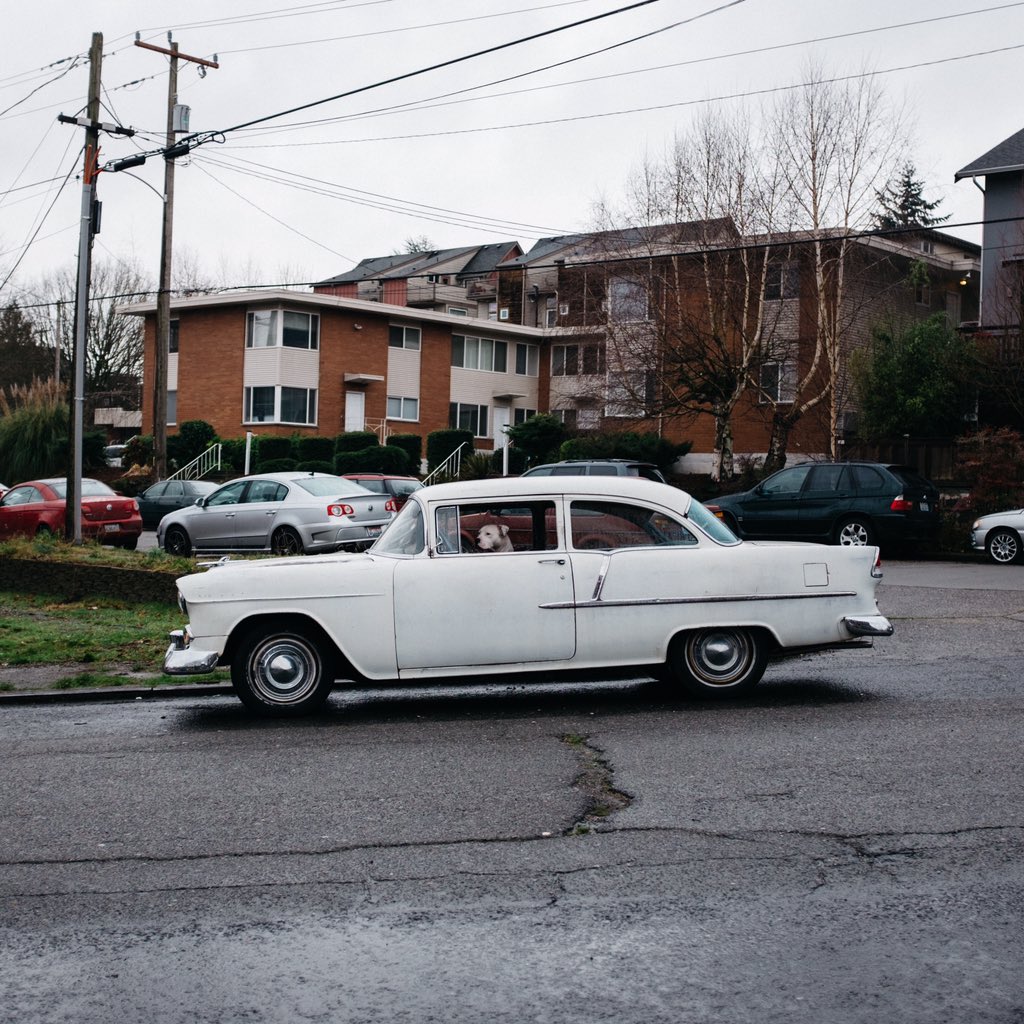 oddsome's tweet image. Dog's got good taste. #Film06 #Seattle oddsome.vsco.co