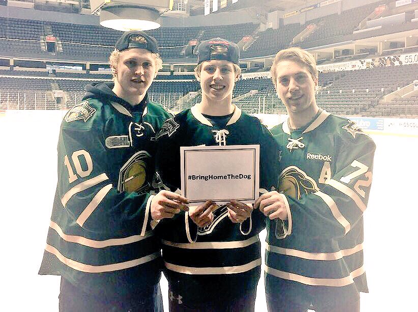 Knights Fans! Find out how you can help out our friend Anthony! #BringHomeTheDog #LK 🐶 gofundme.com/ykhqge3w