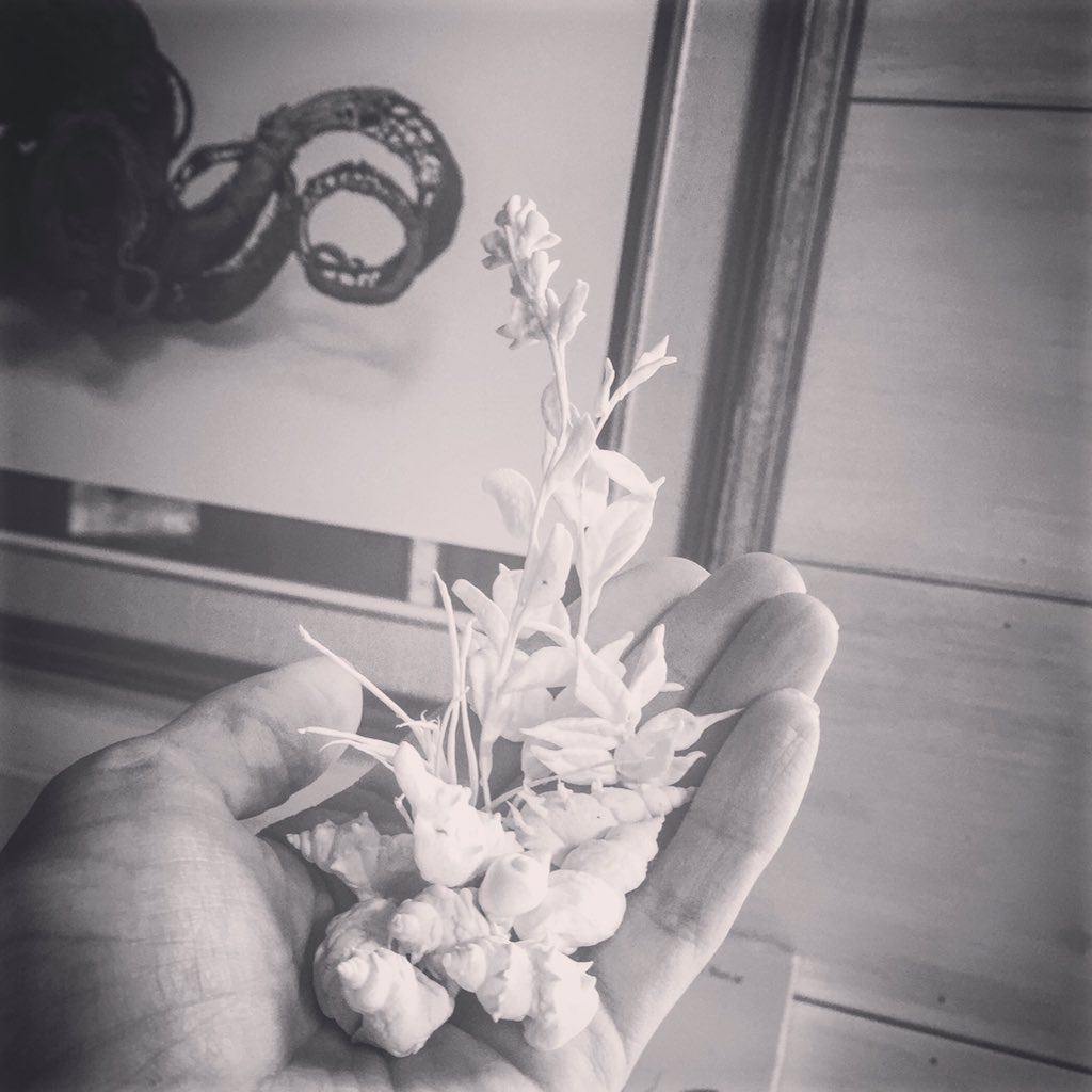 Of sea life and weed life #sculpture #sealife #surrealism #naturalhistory #ellenjewett