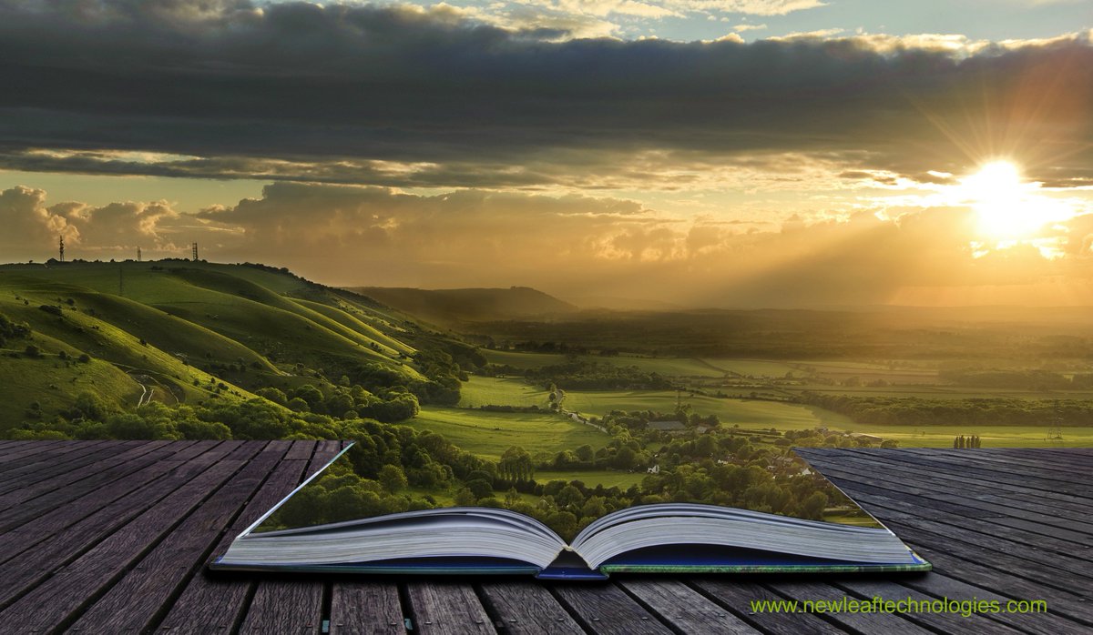 New Leaf Technology tweet media