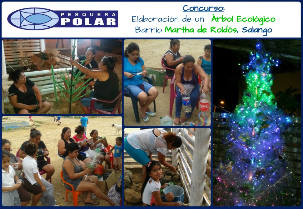 pesquerapolar's tweet photo. Admiremos juntos el resultado de un excelente #TrabajoEnEquipo
#ÁrbolEcológico #Salango #PesqueraPolar #Reciclaje ✨🎄 https://t.co/B5l2tjqsI2