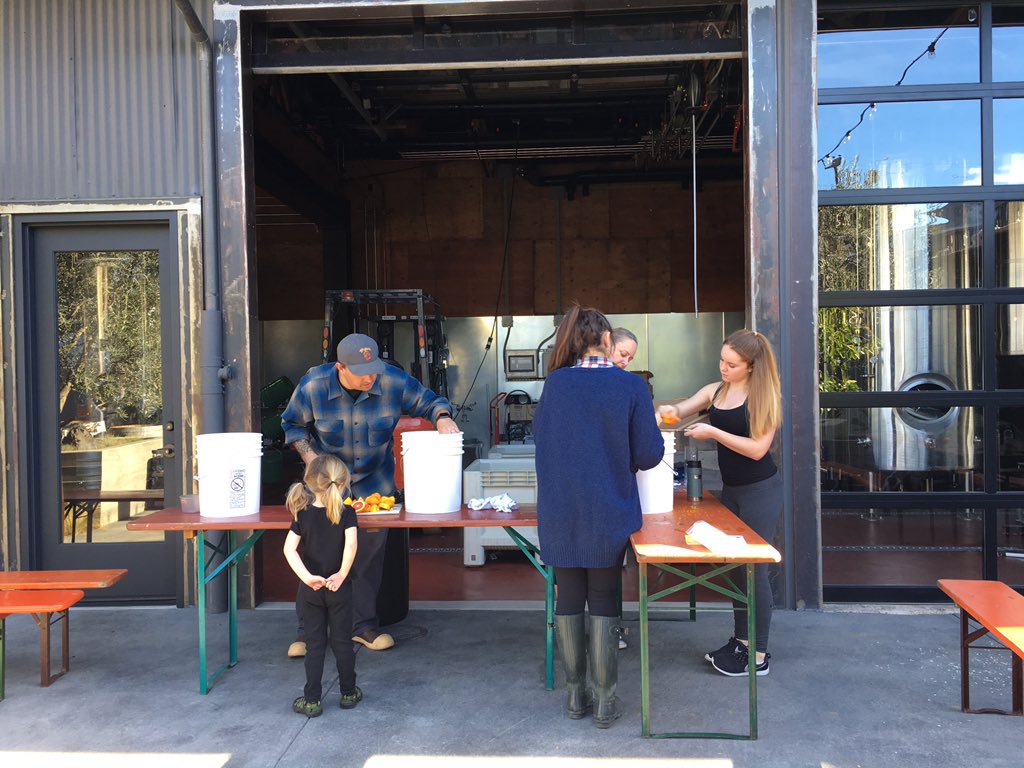 In Santa Barbara: <a href="/thirdwindowbrew/">Third Window Brewing</a> pre-opening crew zesting local citrus today for future chocolate-orange stout.