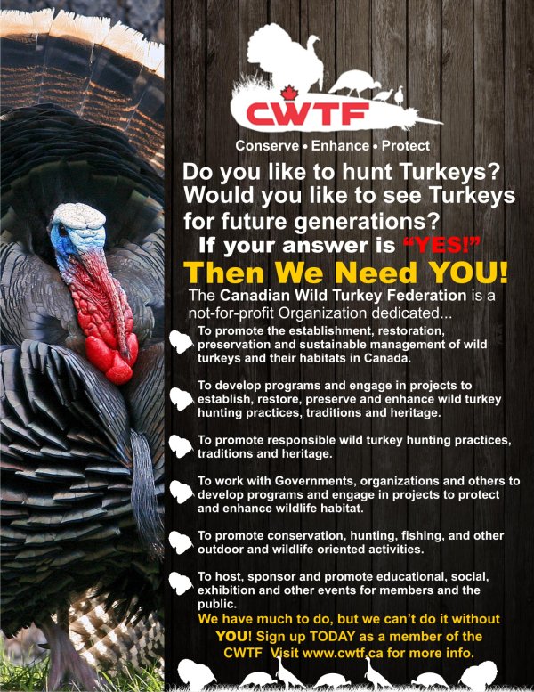 Do you like #turkeyhunting in #Canada? Join the <a href="/cwtfederation/">Canadian Wild Turkey Federation</a> today.
#hunting #wildturkey #uplandbirdhunting