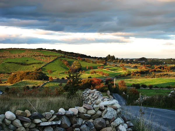 IrelandB4UDie's tweet photo. Are you lucky enough to call Ireland home? https://t.co/ILJYLZMuOg